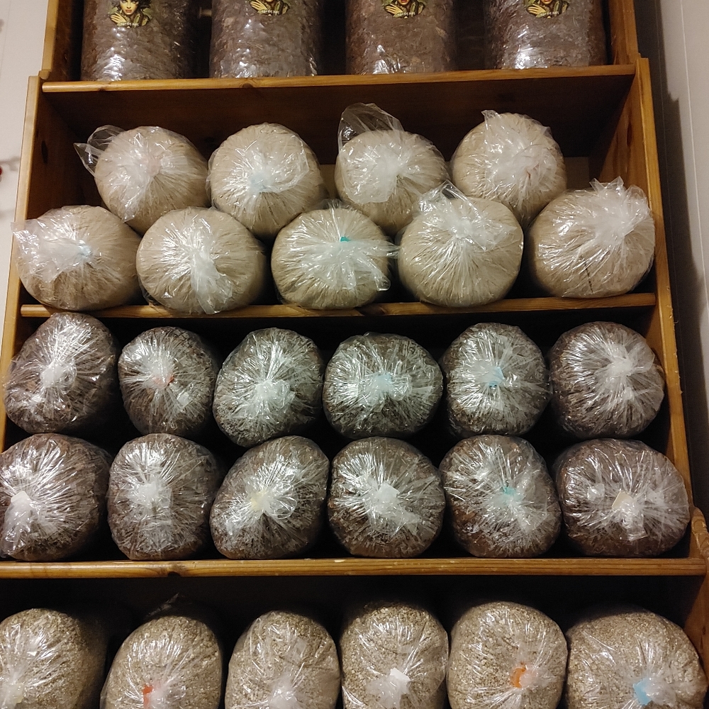 Vermiculite Grab bags 600g